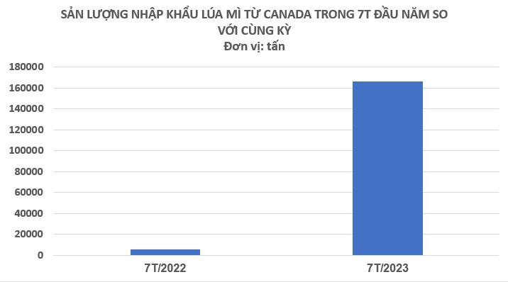 Mot Loai Nong San Cua Canada Dang Do Bo Vao Viet Nam Voi Gia Re Ky Luc Nhap Khau Tang Hon 3 000 Trong 7 Thang Dau Nam
